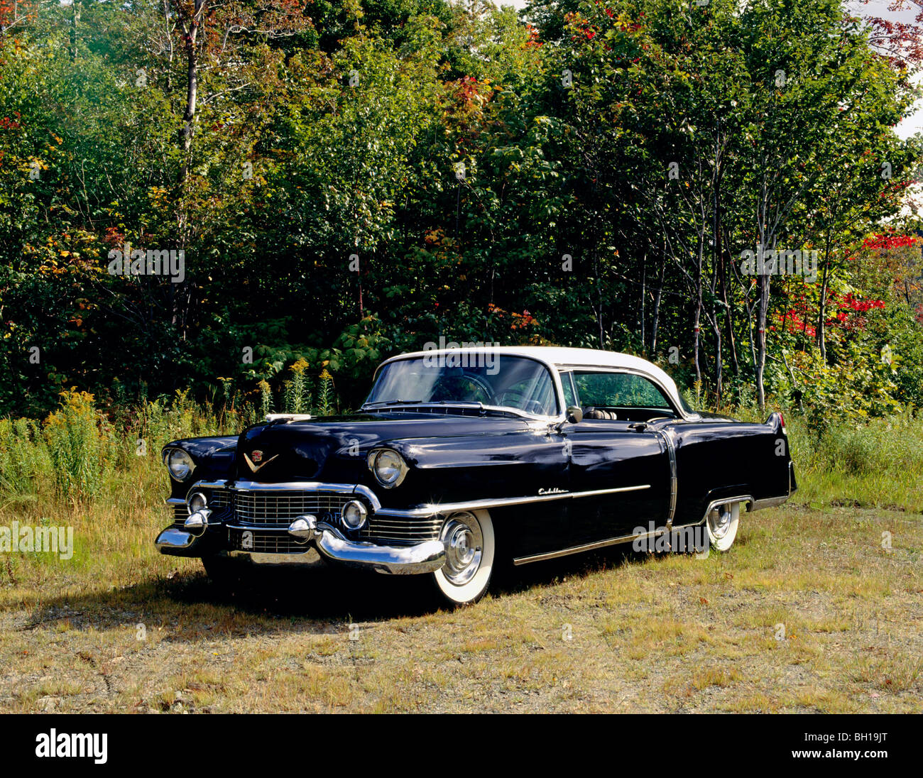 Vintage 1954 Cadillac Eldorado Series 62 car, Waterloo, Quebec, Canada Stock Photo