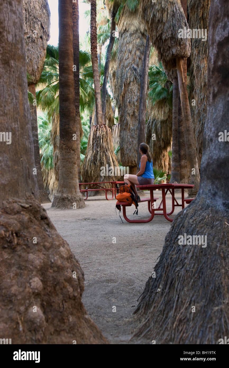 Hiker in Palm Canyon, part of the Indian Canyons in the Agua Caliente