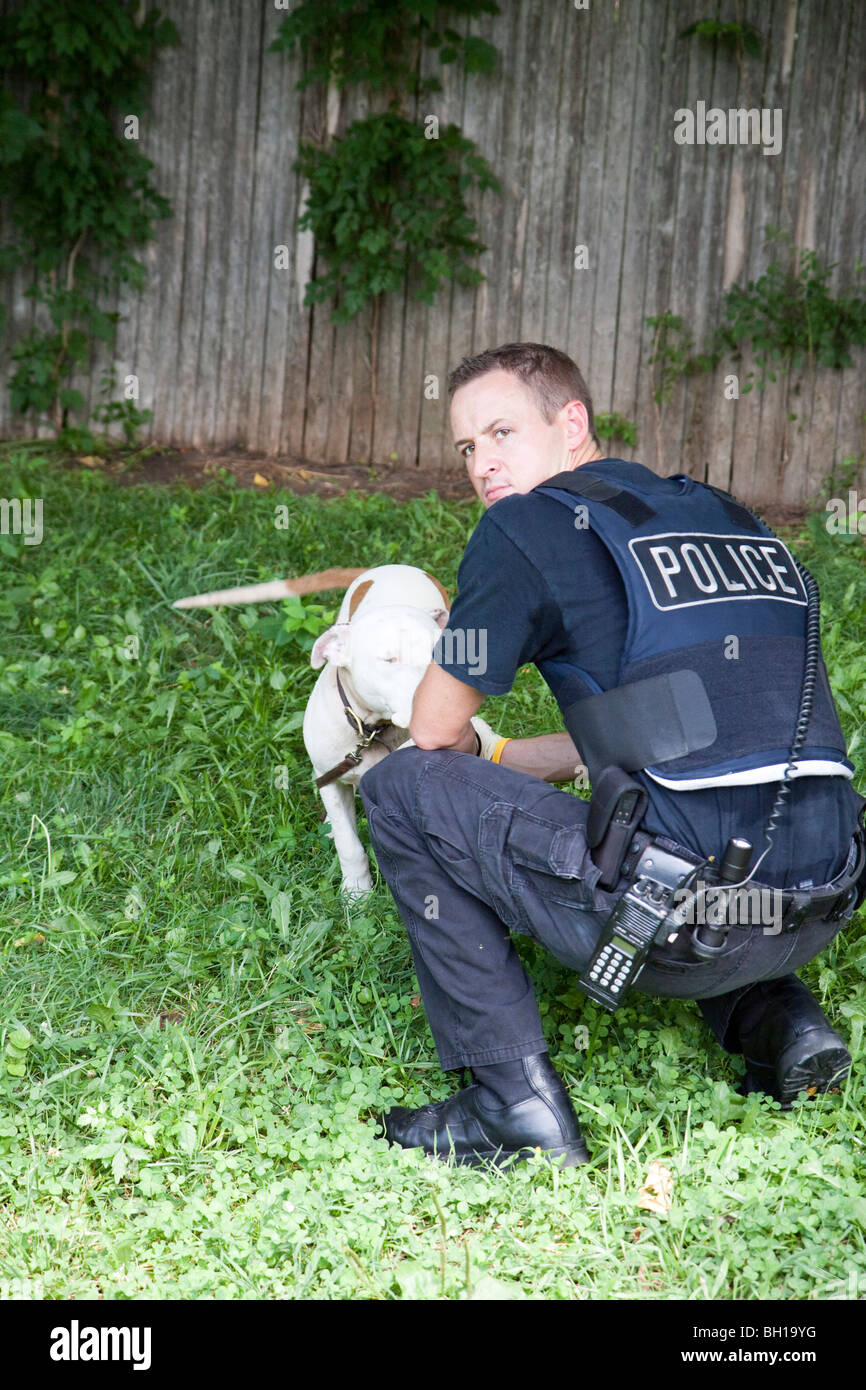 Police officer with pitbull found chained up in back yard. The dog was taken to a shelter for medical attention. Stock Photo