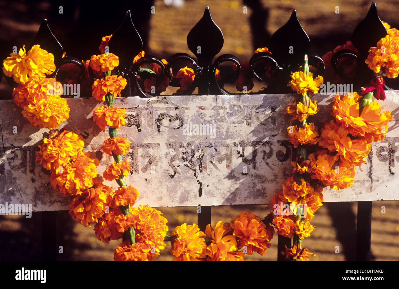 A garland of marigolds with Hindi script Jaipur Rajasthan India Stock