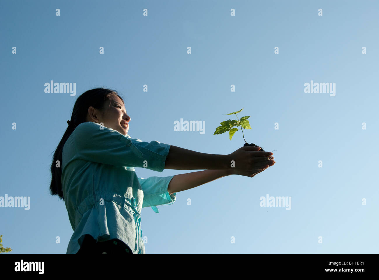Young woman with outstretched arms holding seedling, Assiniboine Park, Winnipeg, Manitoba, Canada Stock Photo