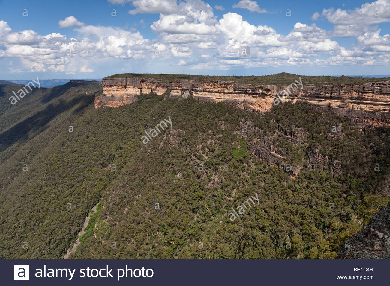 The Kanangra Walls Kanangra Boyd National Park Greater Blue