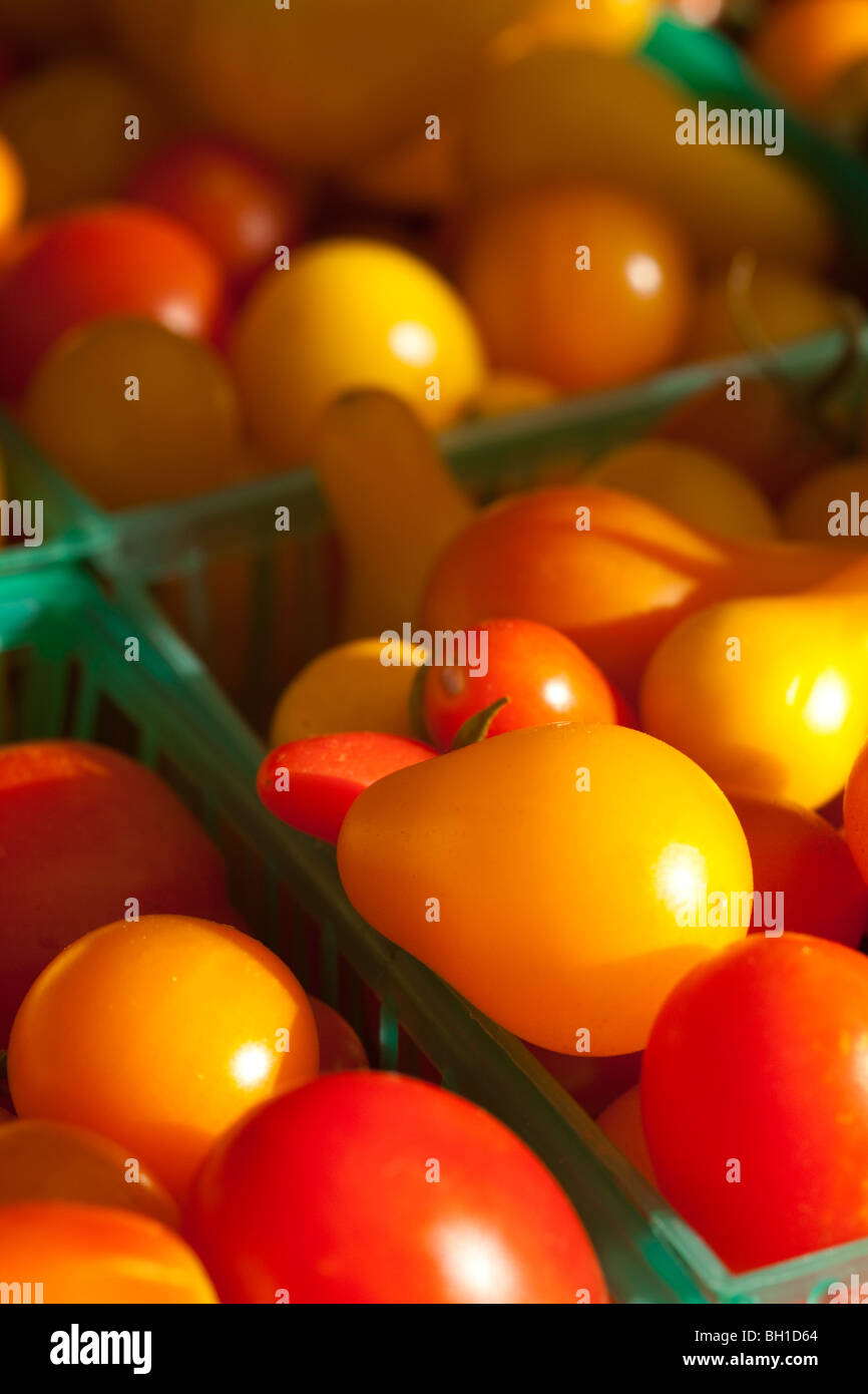 red and yellow pear tomatoes Stock Photo