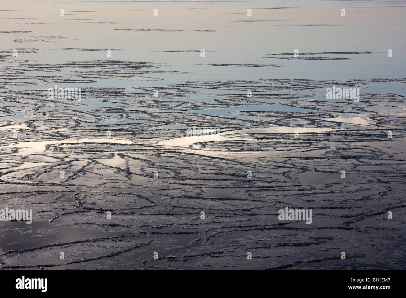 Pancake ice forming Stock Photo Alamy