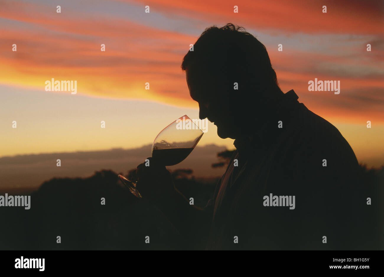 Saxenburg's winemaker Nico van der Merwe at sunset, Stellenbosch, Western Cape, South Africa, Africa Stock Photo