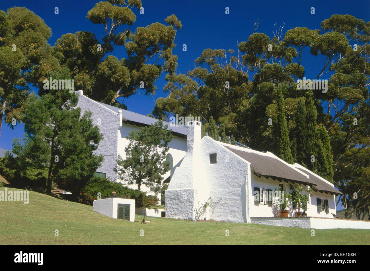 Hamilton Russell Vineyards, Hermanus, Walker Bay, Western Cape, South