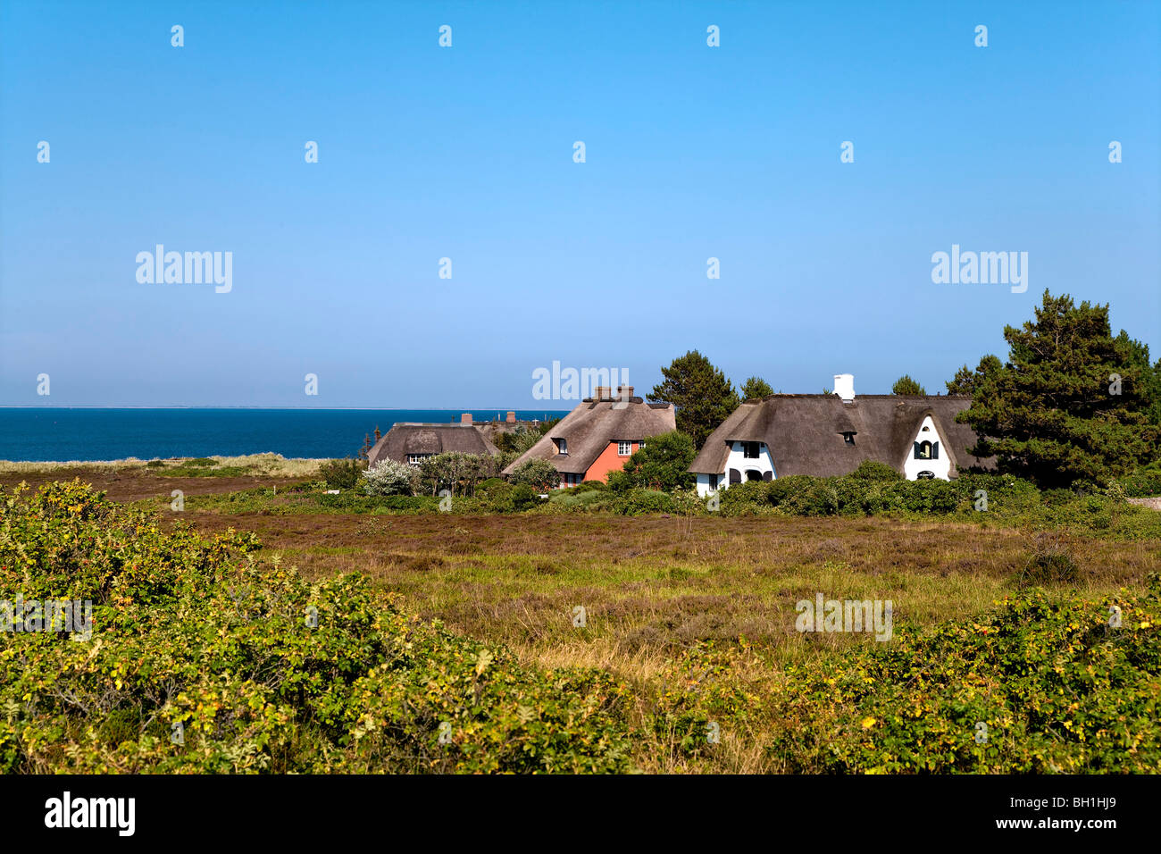Thatched Houses, Braderup Heath, Braderup, Sylt Island, Schleswig-Holstein, Germany Stock Photo