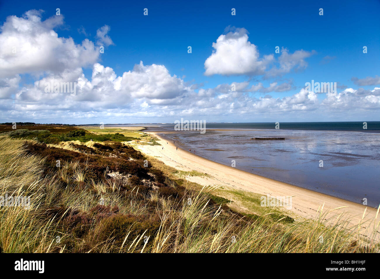 Beach at Braderup heath, Braderup, Sylt Island, Schleswig-Holstein, Germany Stock Photo