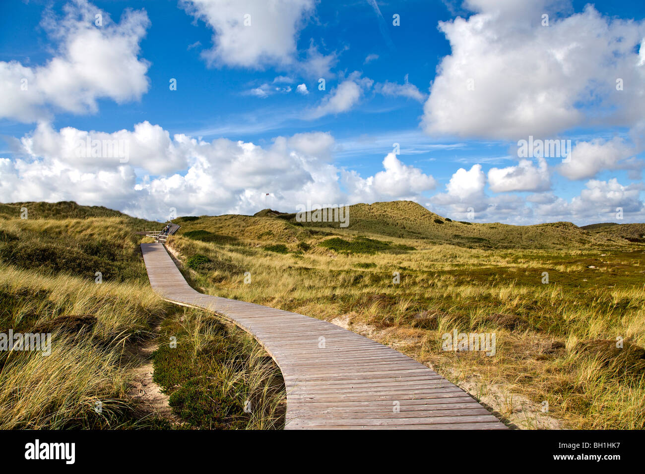 Boardwalk in the dunes near Kampen, Sylt Island, Schleswig-Holstein, Germany Stock Photo
