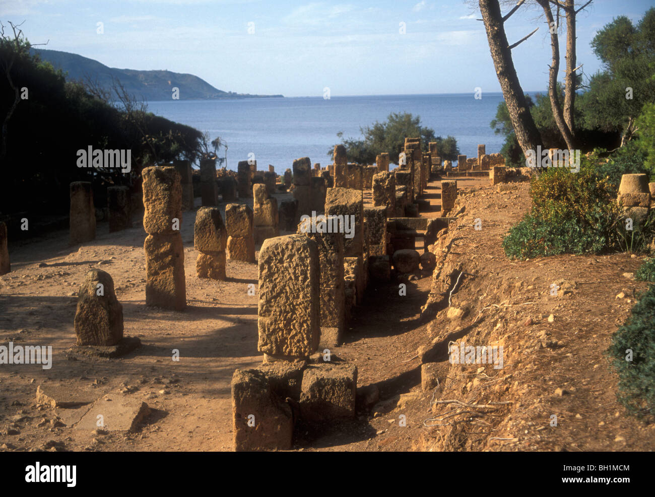The Cardo Maximus, Tipasa, Punic town west of Algiers Stock Photo