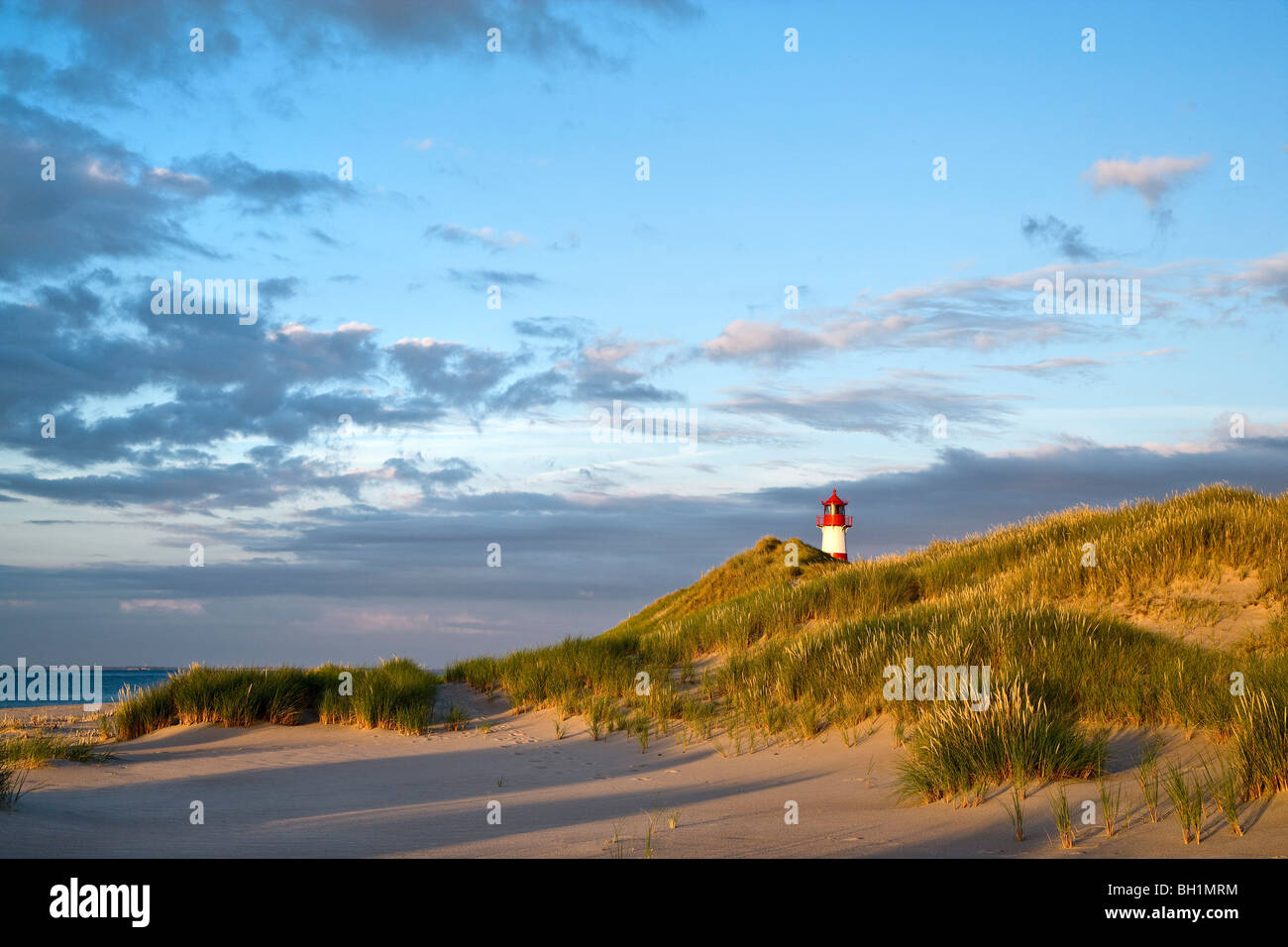 Lighthouse List-East, Ellenbogen, Sylt Island, North Frisian Islands, Schleswig-Holstein, Germany Stock Photo
