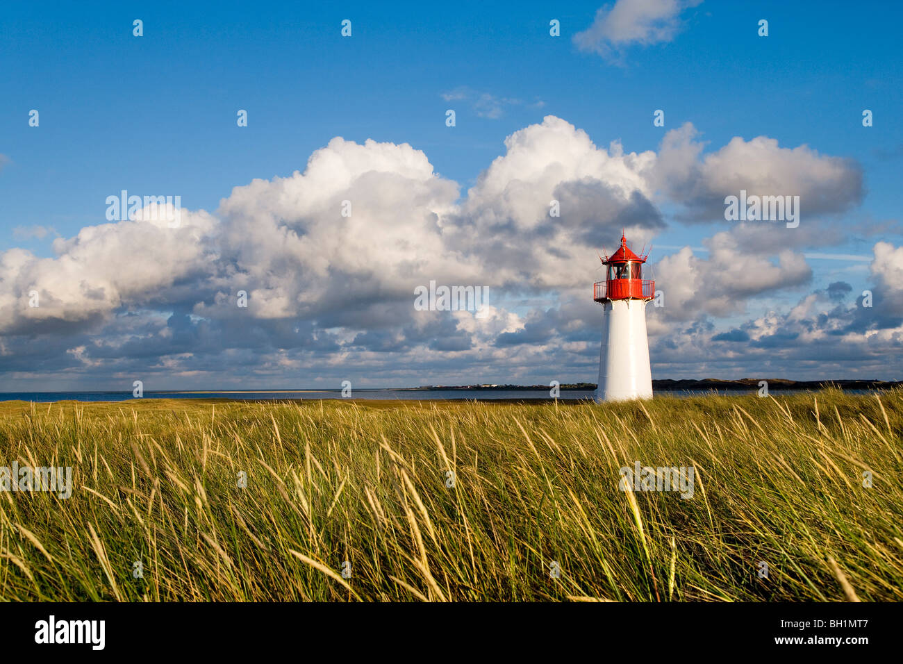 Lighthouse List-West, Ellenbogen, Sylt Island, North Frisian Islands, Schleswig-Holstein, Germany Stock Photo
