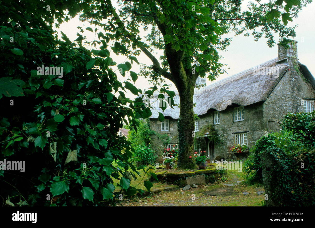 Europe, England, Devon, Dartmoor, BucklandintheMoor, Cottage Stock