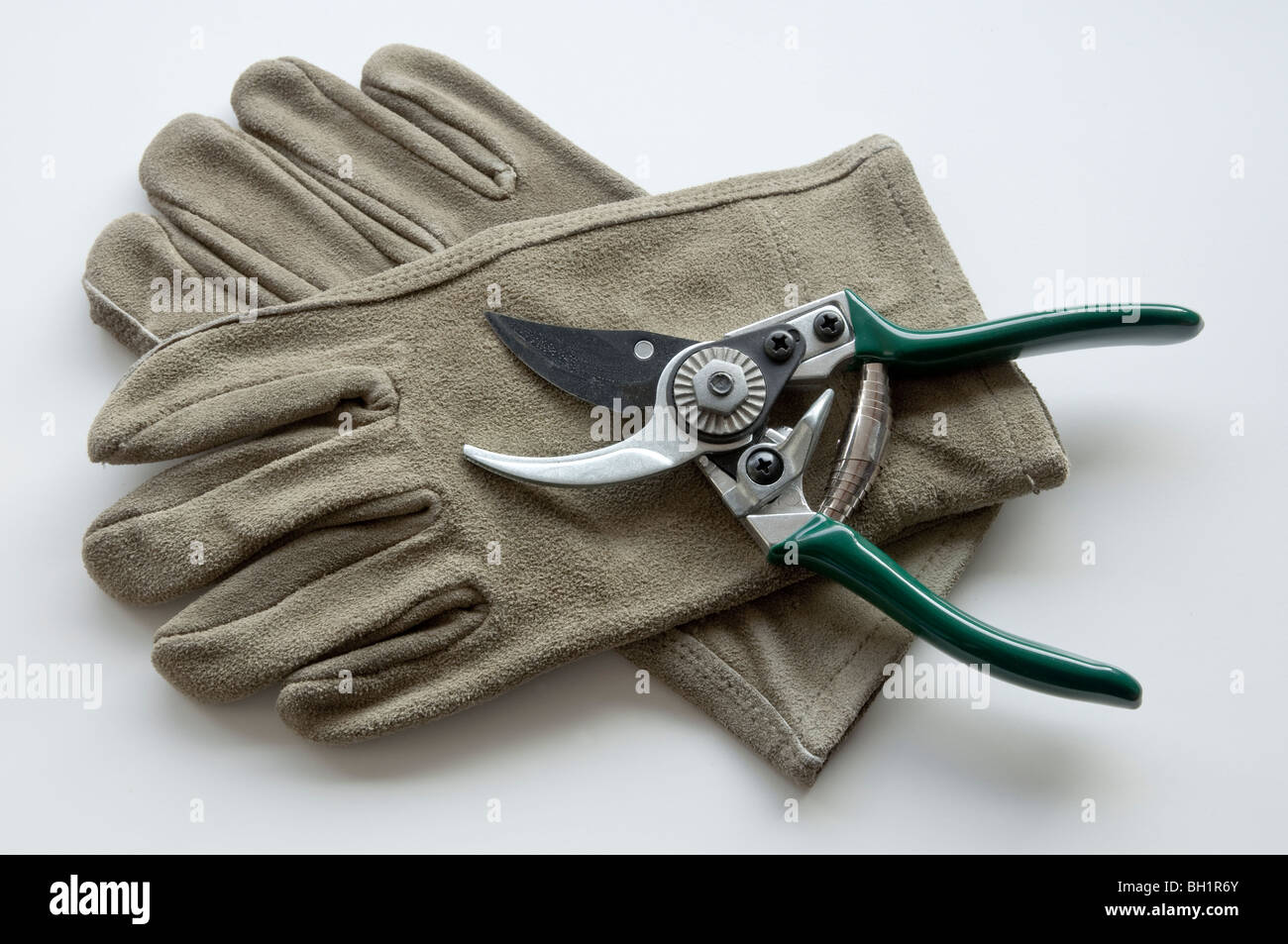 Gardening gloves and secateurs. Stock Photo