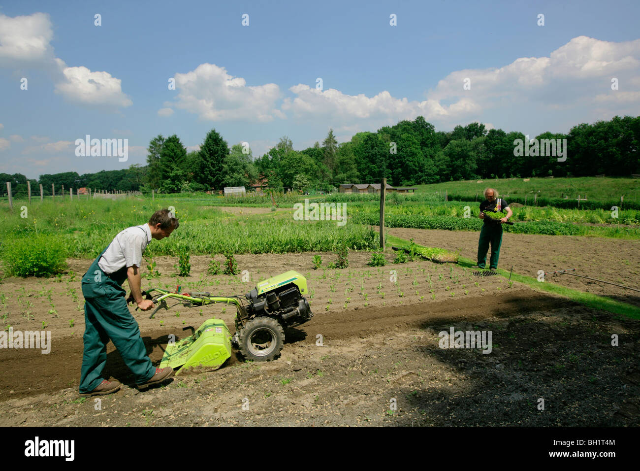Farmer using rotary tiller biological hires stock photography and images Alamy
