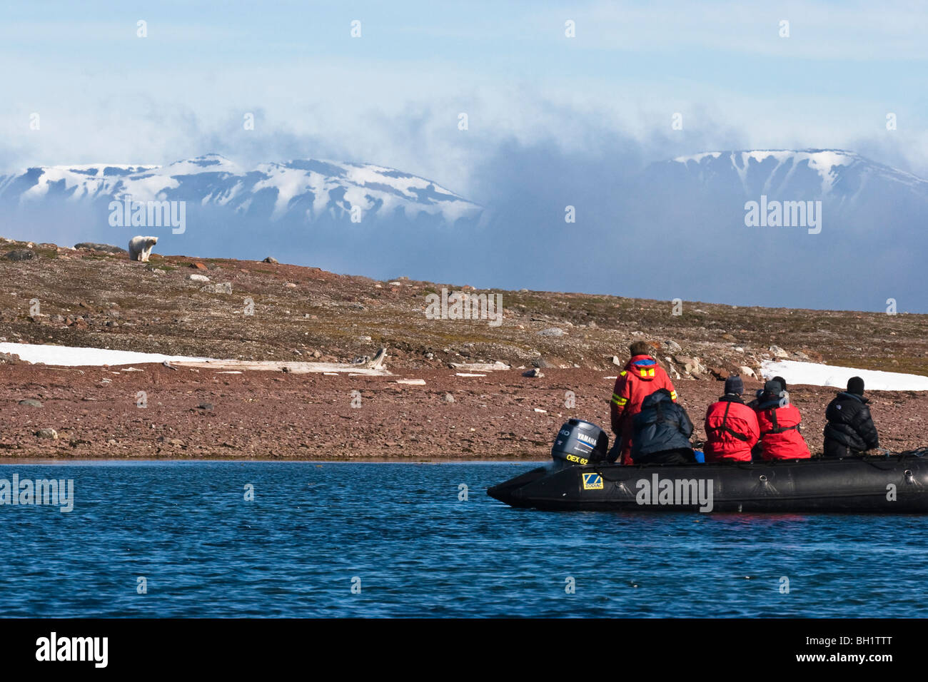 tourists watching Polar Bear from Zodiac, Spitsbergen, Norway Stock Photo