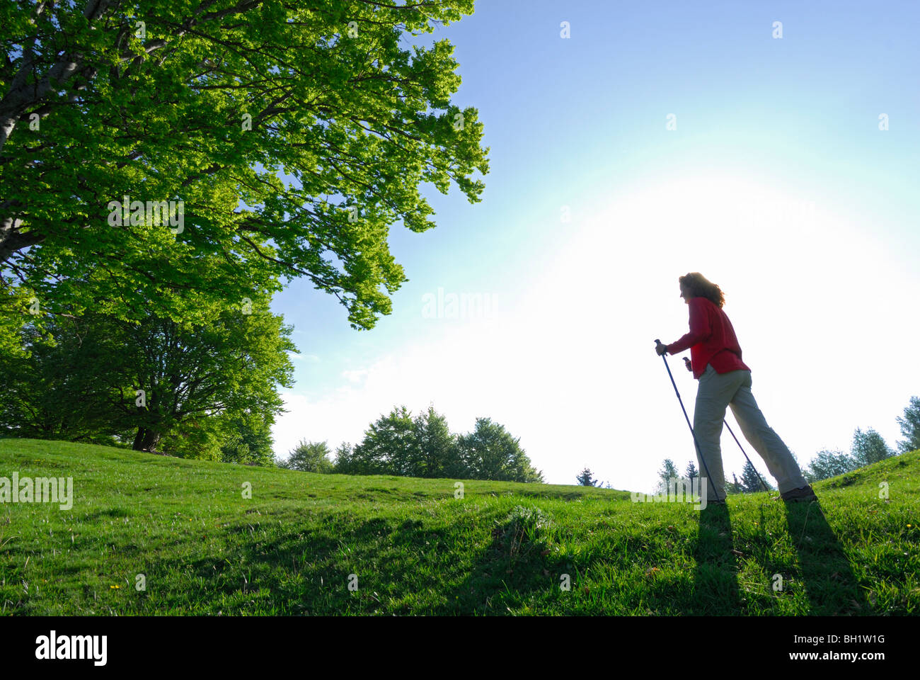 young woman walking on green pasture with fresh green beeches, Alpe del Borgo, Monte San Primo, lake Comer See, Como, Lombardy, Stock Photo