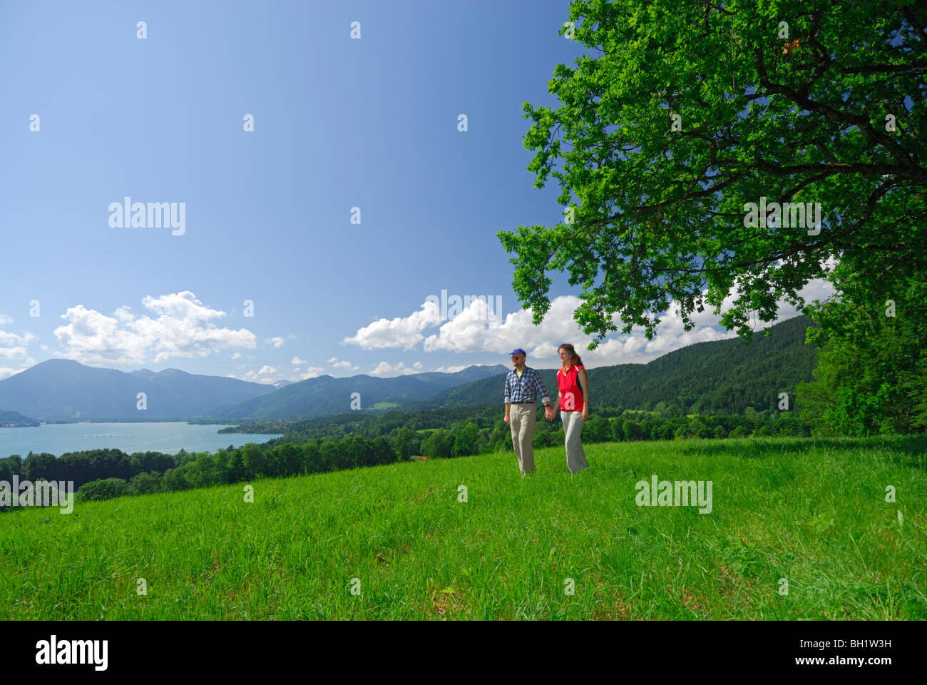 young couple hand in hand on pasture with view to lake Tegernsee, Bavarian foothills, Bavarian range, Upper Bavaria, Bavaria, Ge Stock Photo