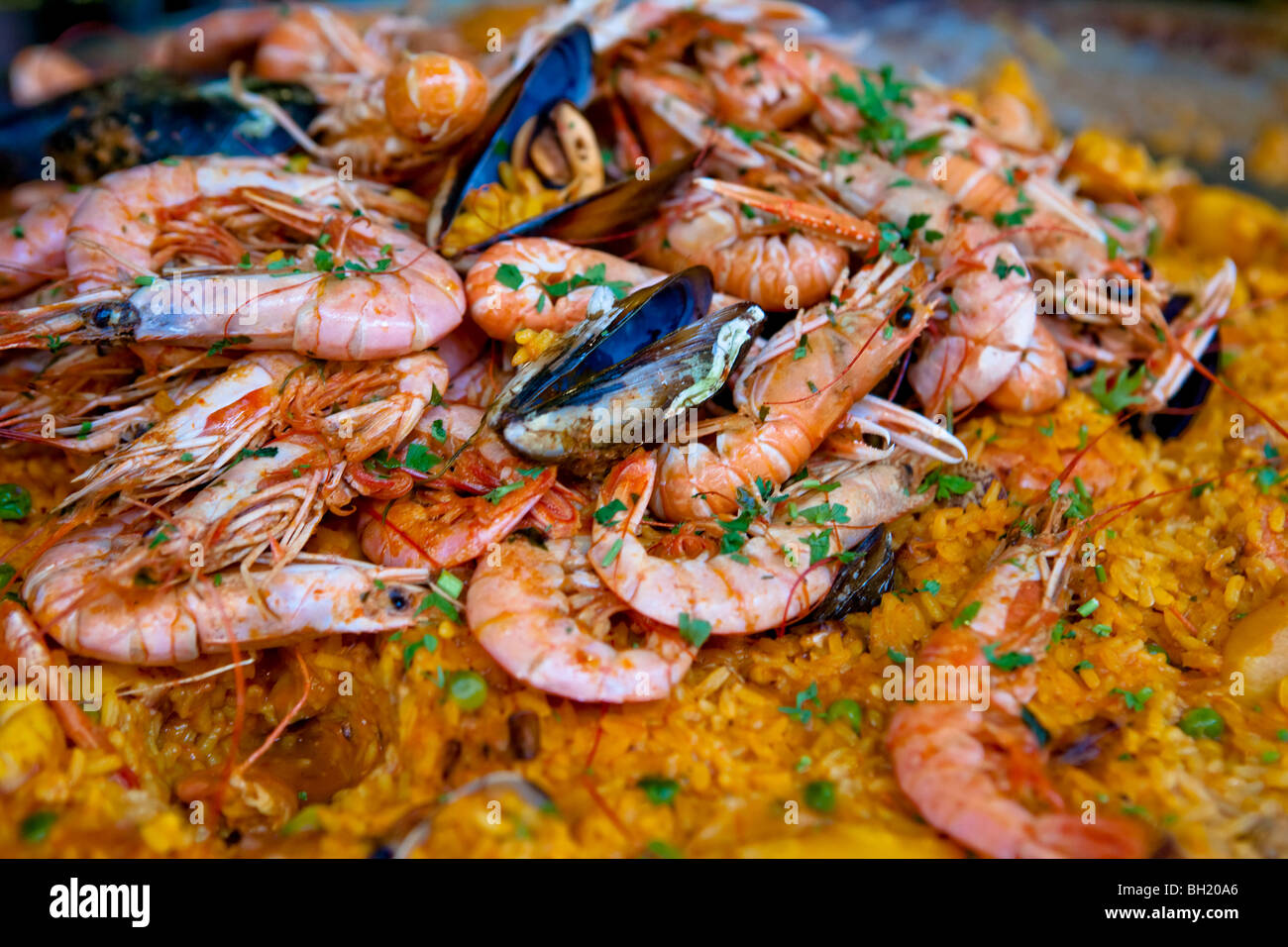 Barcelona Food Paella Stock Photo Alamy