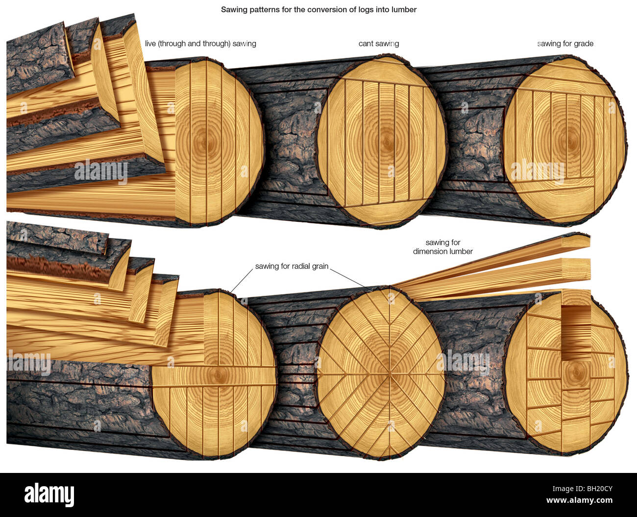 Log Cutting Patterns