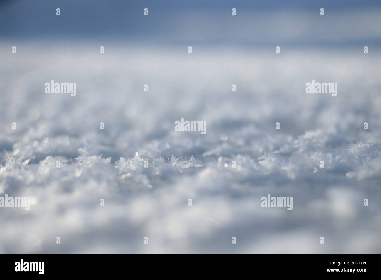 A close up of ice crystals on the surface of a creek. Stock Photo