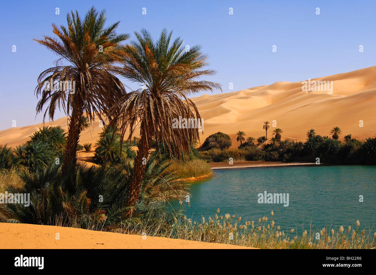 The Um el Maa desert lake in the middle of sand dunes of the Awbari Sand Sea, Sahara desert, Libya Stock Photo