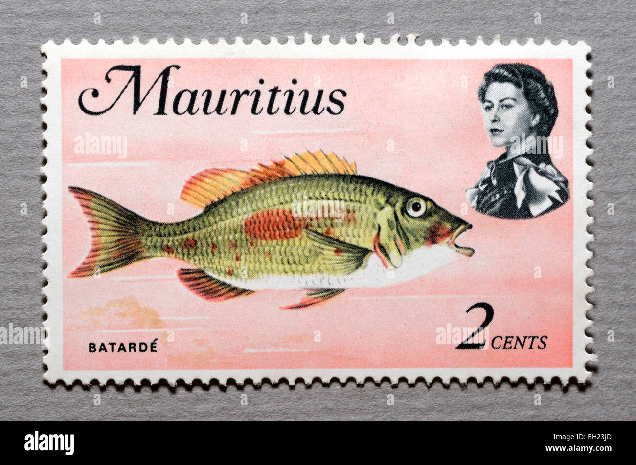 Mauritius Postage Stamp. Stock Photo