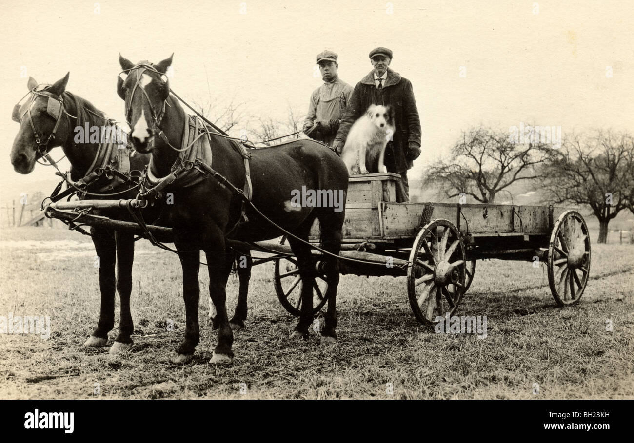 Father & Son Driving Horse Drawn Farm Wagon Stock Photo Alamy