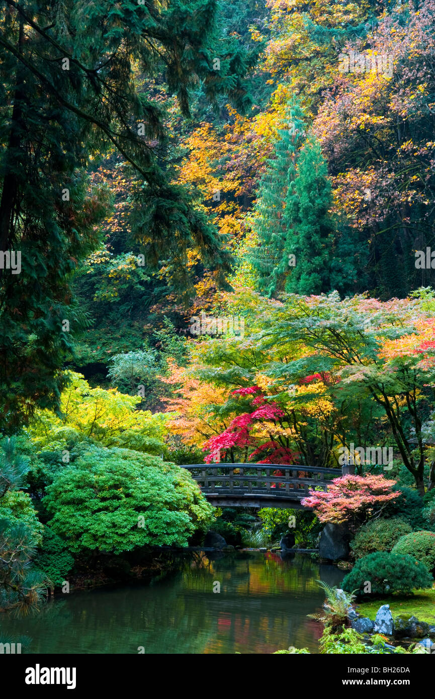 Portland Japanese Garden Tree Hi res Stock Photography And Images Alamy portland-japanese-garden-tree-hi-res-stock-photography-and-images-alamy