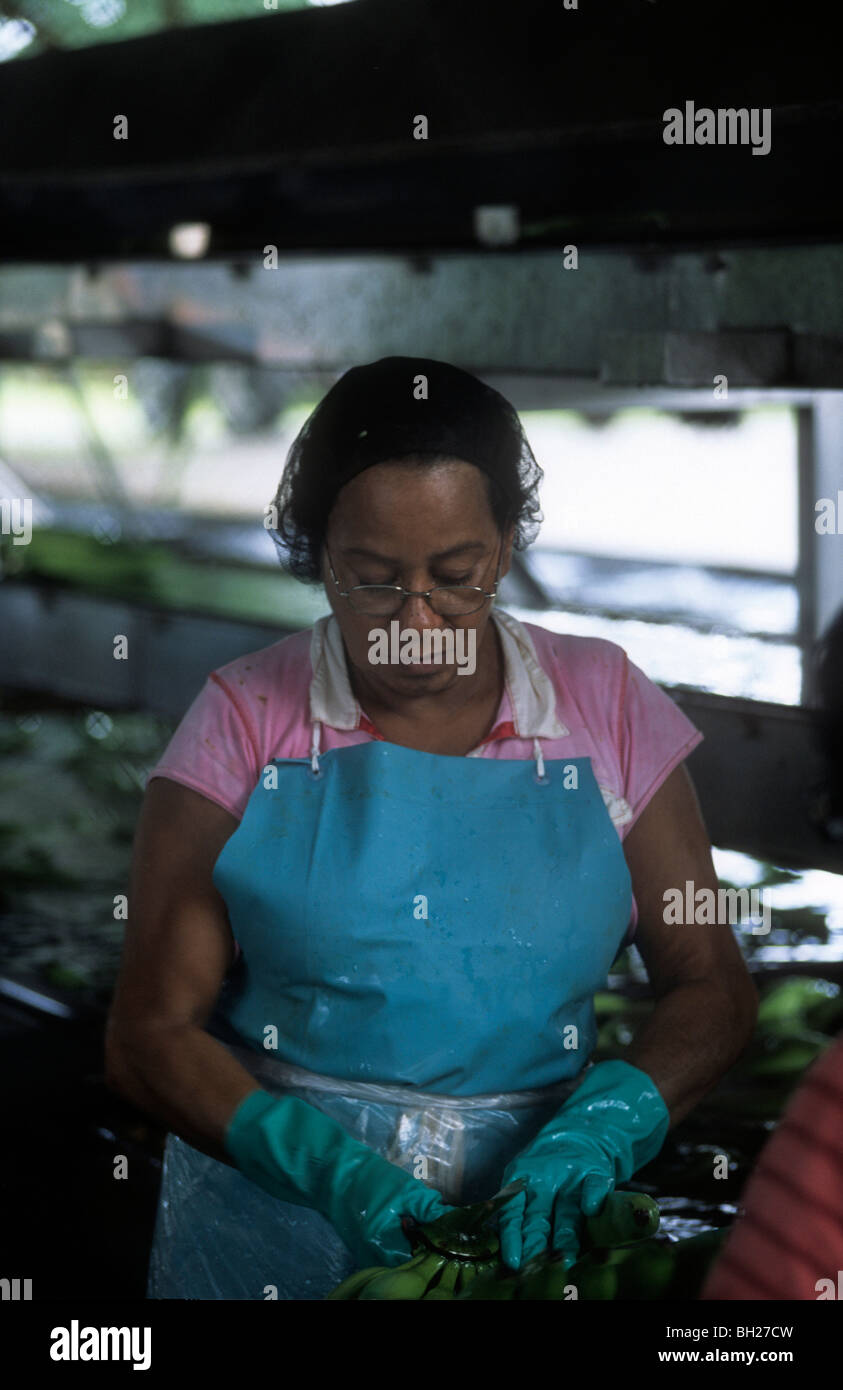 Banana packing costa rica hires stock photography and images Alamy
