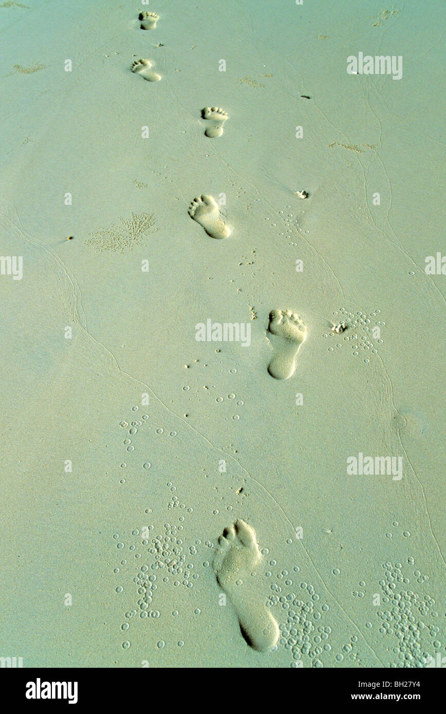 footsteps on a beach Stock Photo