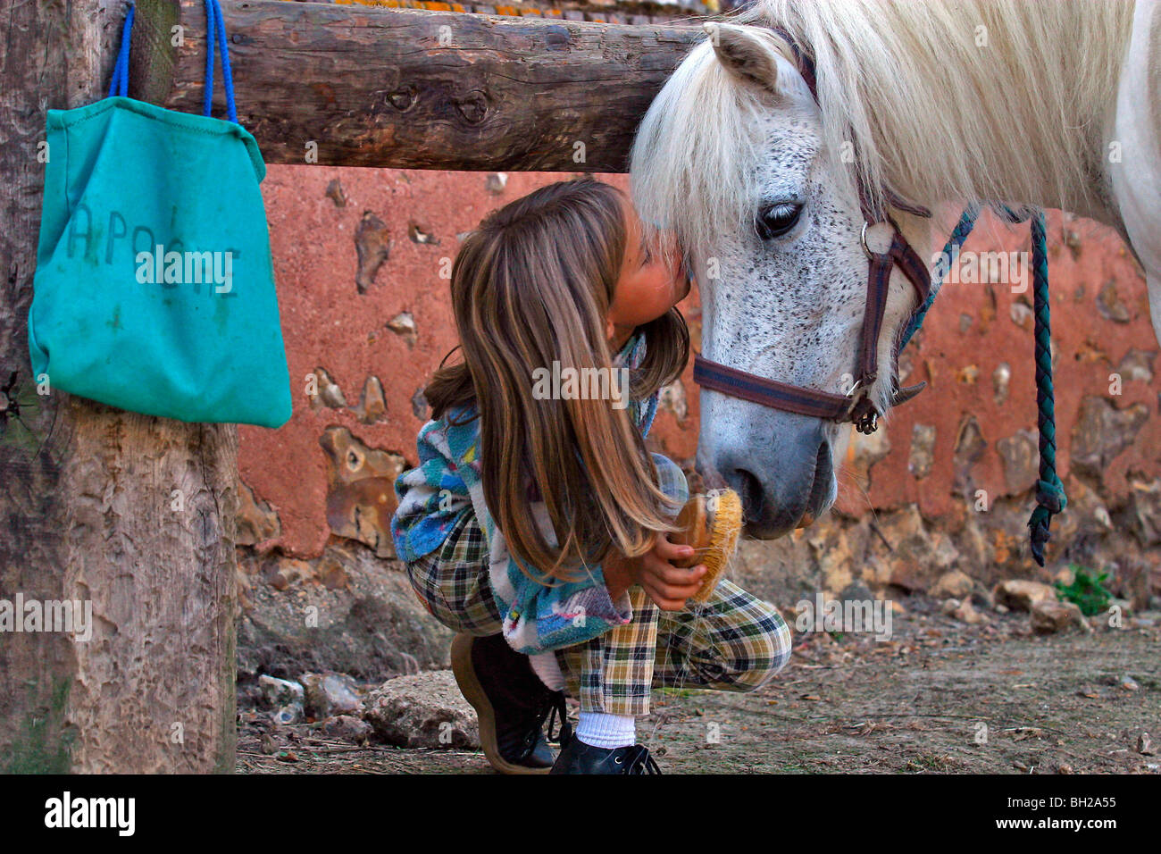 Pony girl friendship hi-res stock photography and images - Page 17 - Alamy