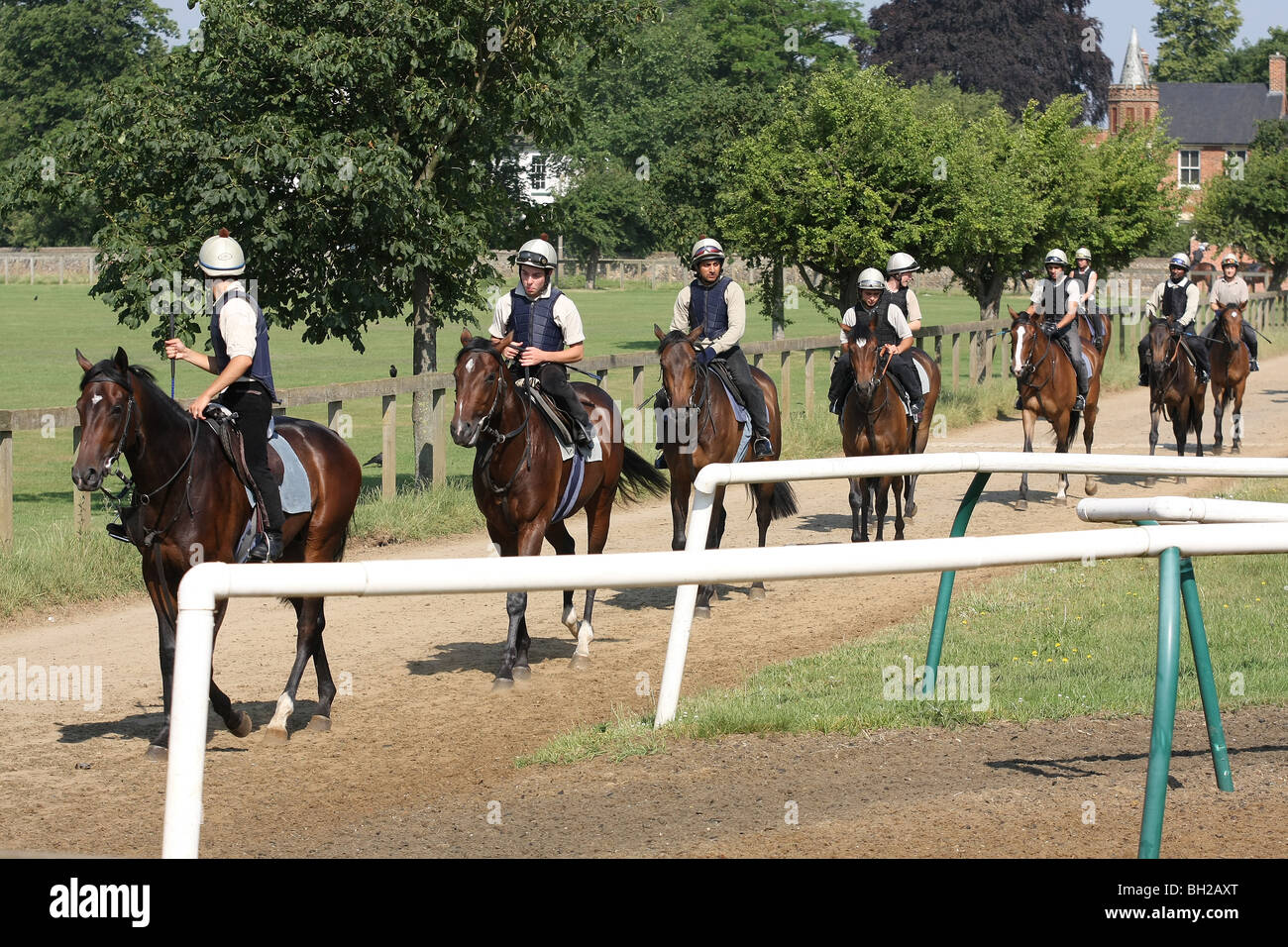 Racehorse string crossing the Severals to the gallops Stock Photo
