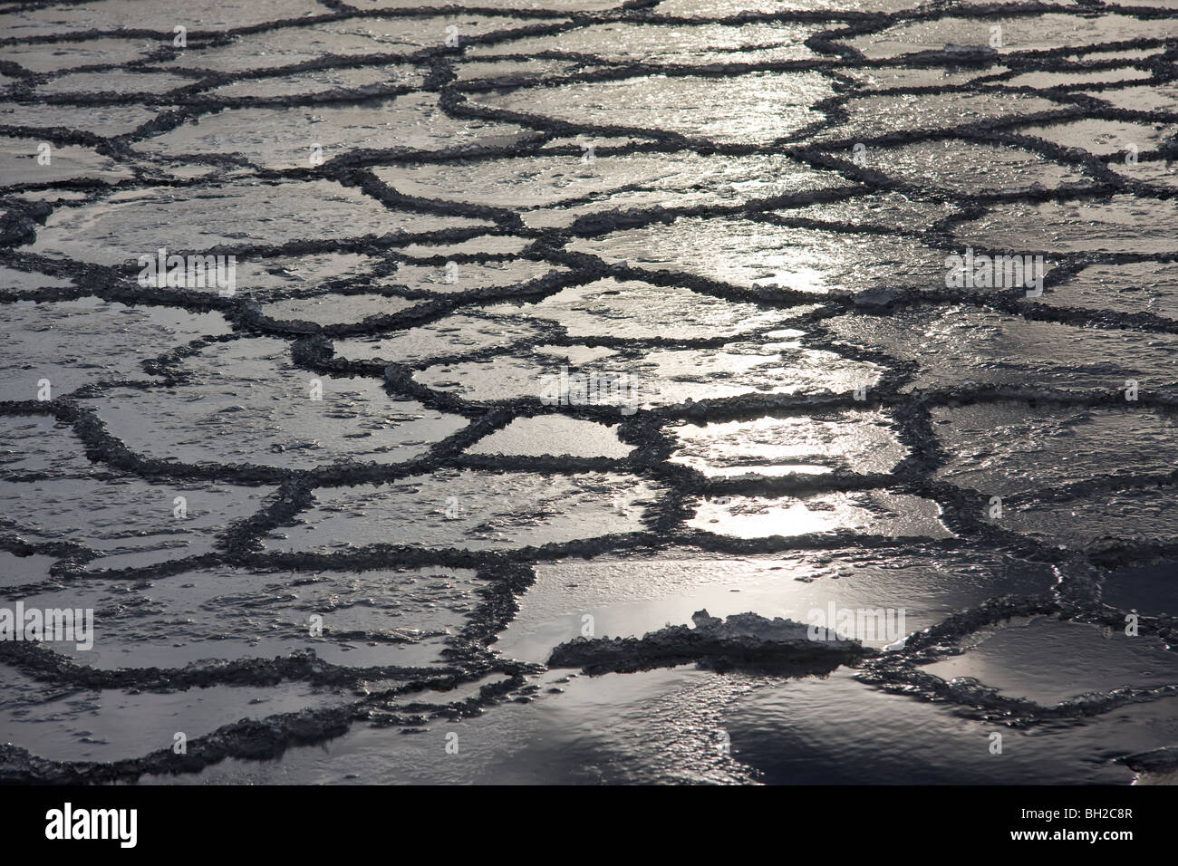 Pancake ice forming Stock Photo Alamy