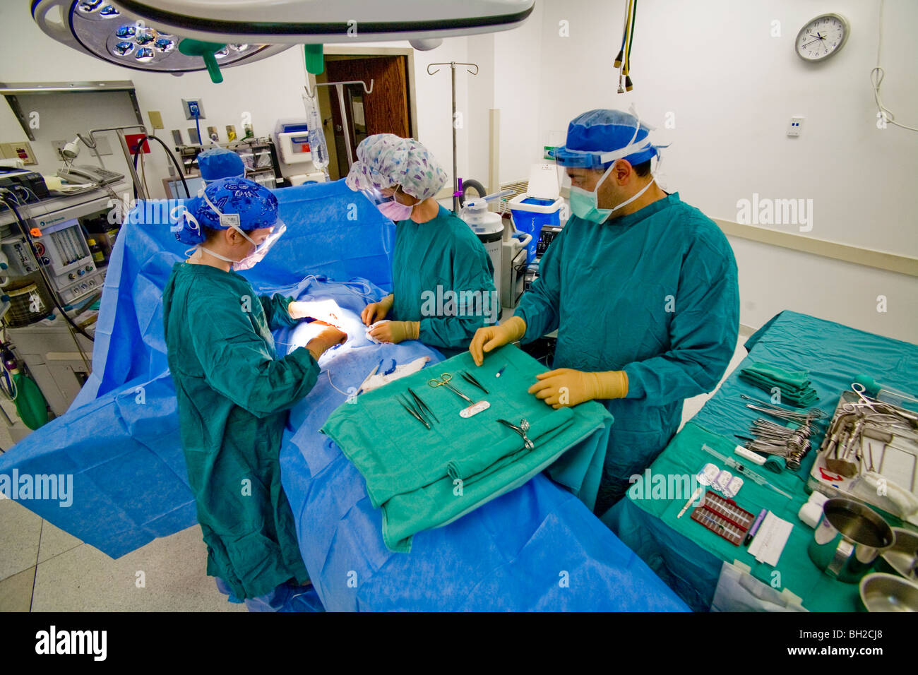 Dressed in "scrubs," aided by her nurse assistant, anesthesiologist