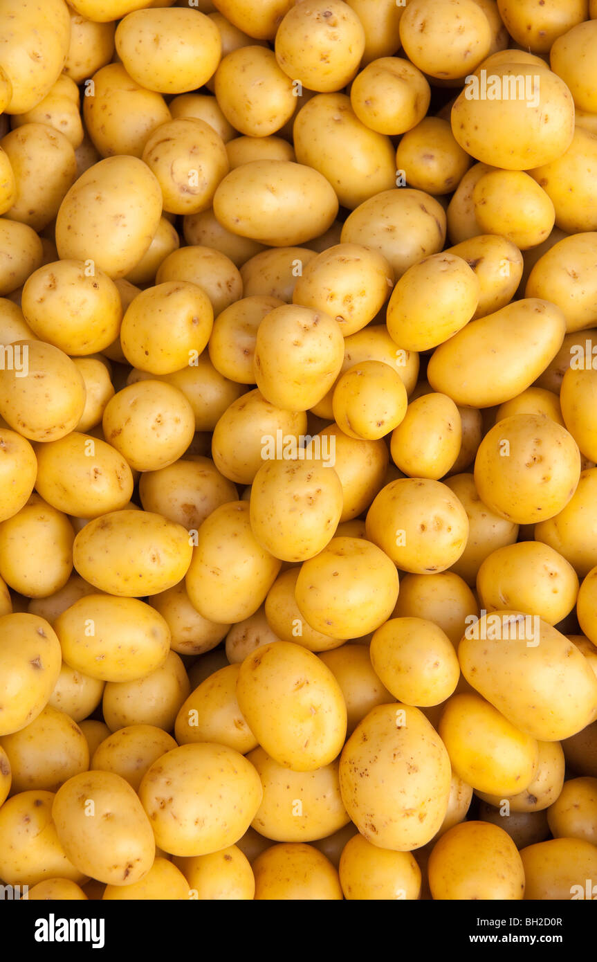 Fresh new potatoes in the Uk Stock Photo