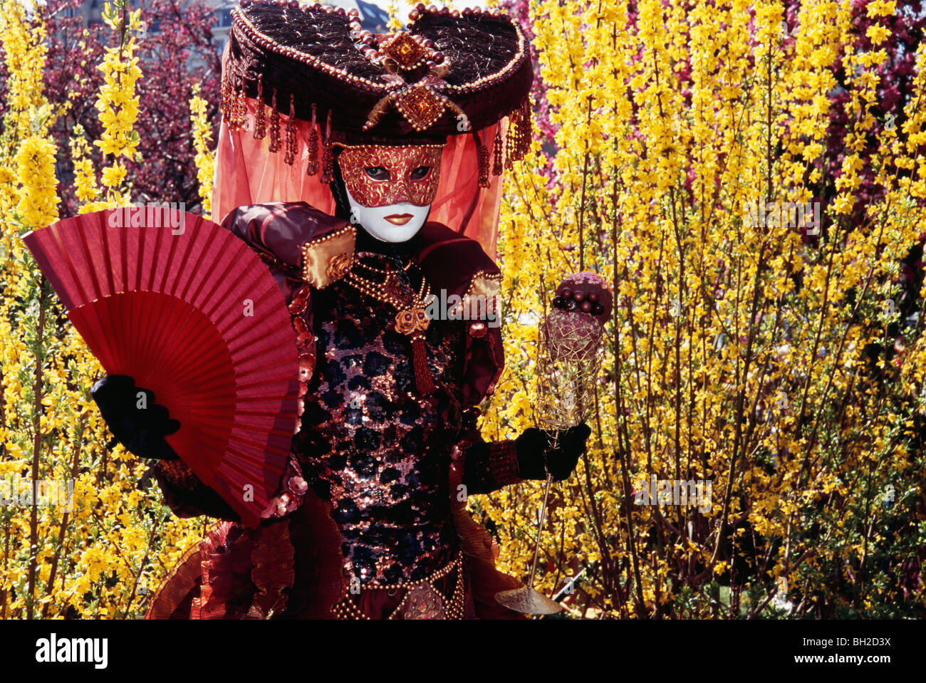 Woman in carnival costume holding a fan Stock Photo