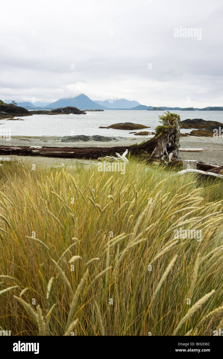 Beach view (Flores island BC British Columbia Canada Stock Photo Alamy