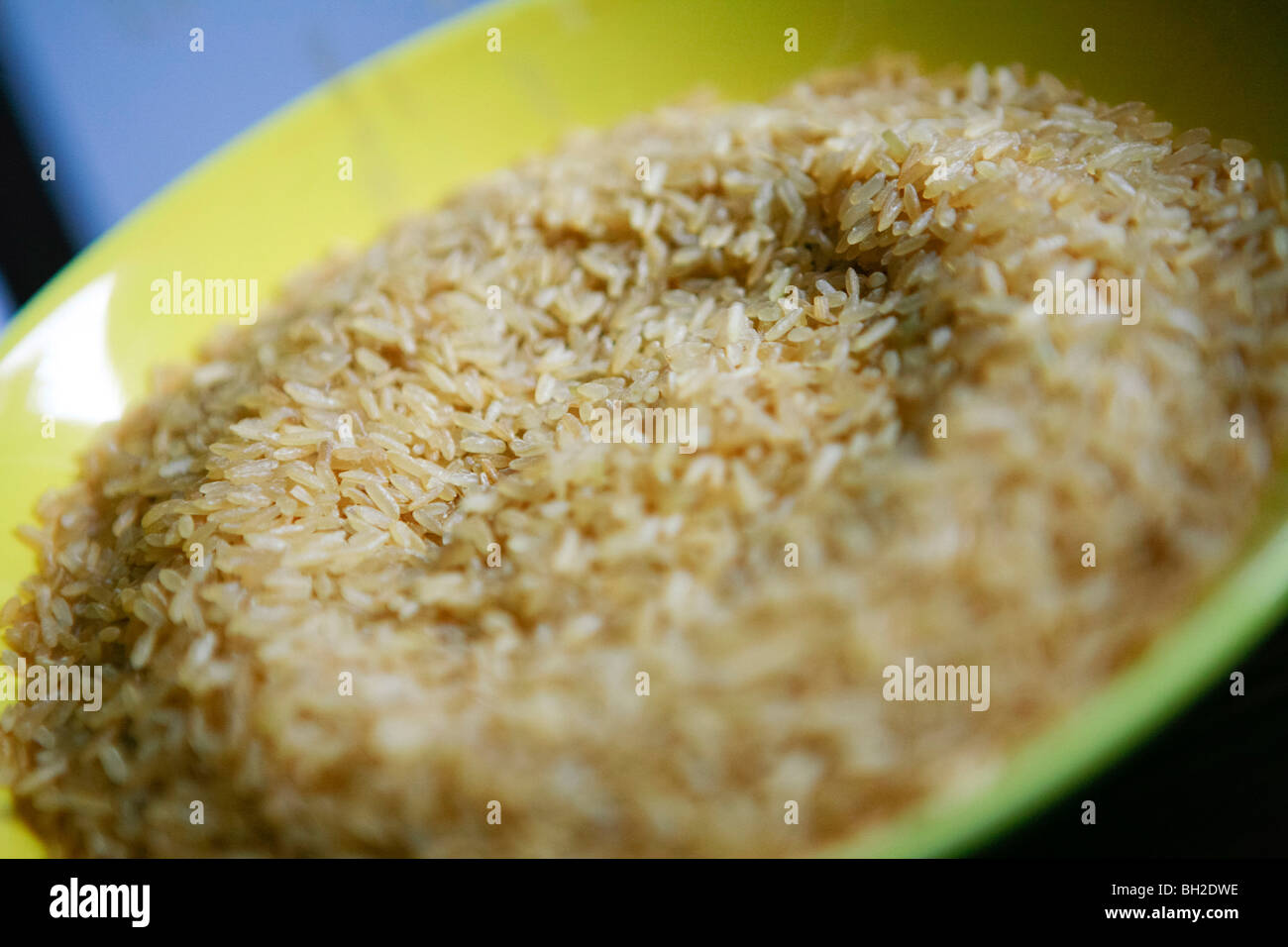 Yellow plate filled with brown rice Stock Photo