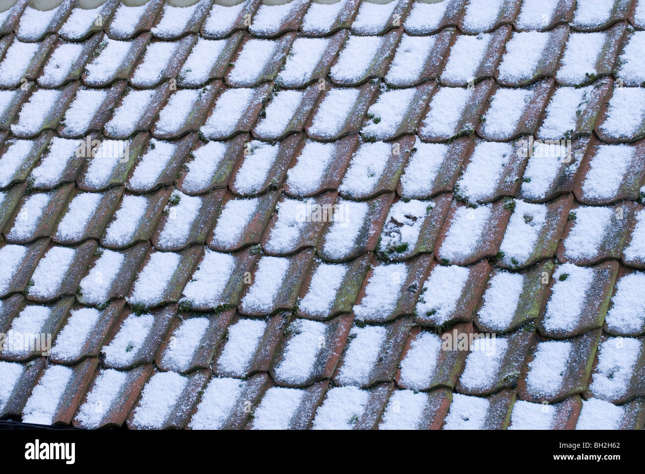 Snow and hail stones on Pantile roof of an outbuilding. Stock Photo