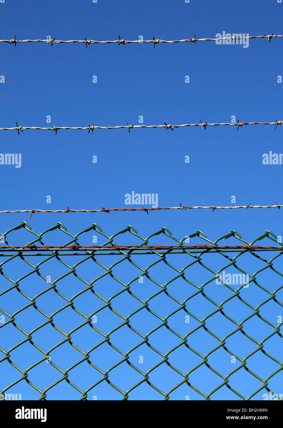 Old barbed wire fence against blue sky Stock Photo - Alamy