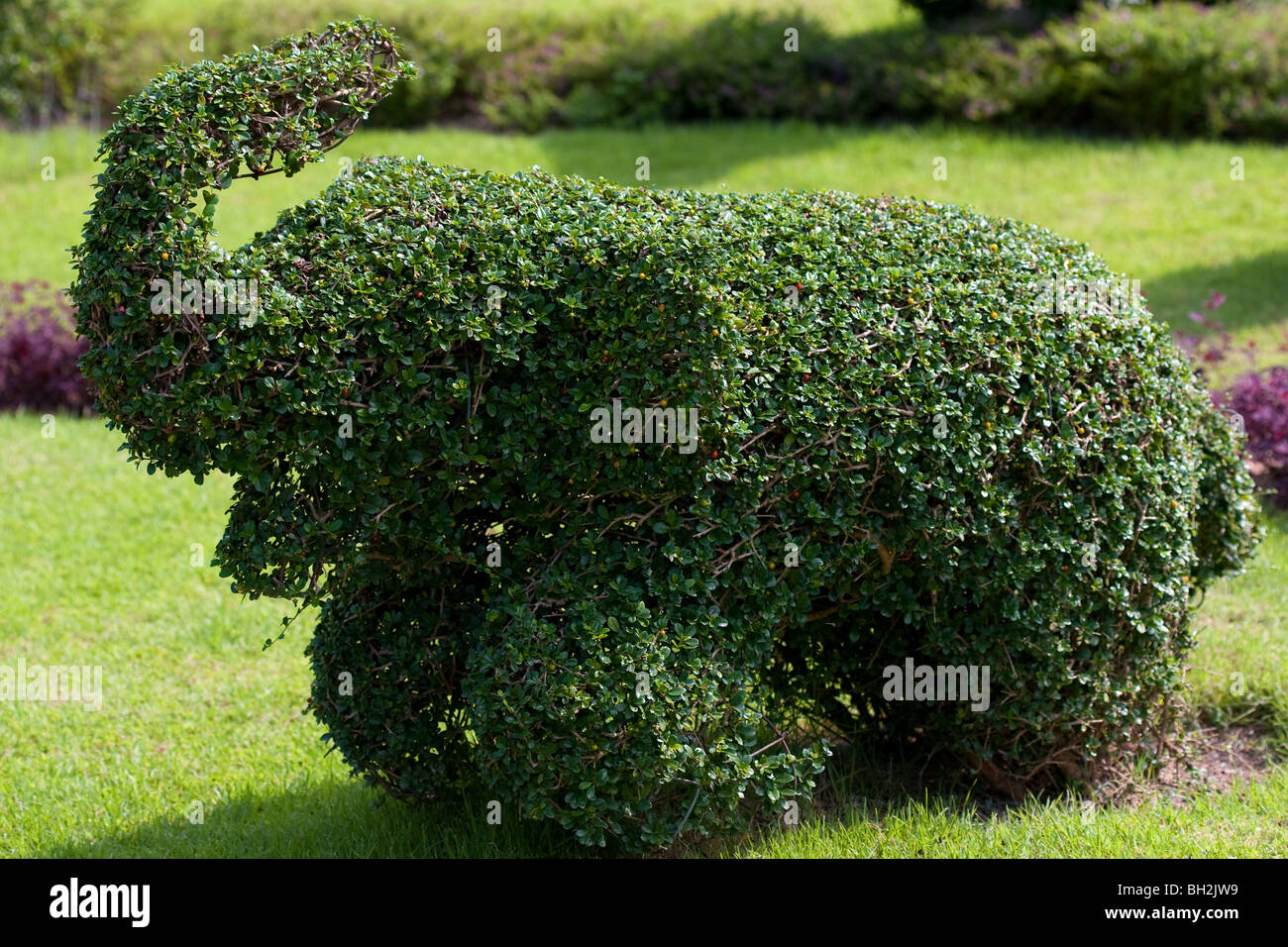 Topairy animals at the Nong Nooch Tropical Botanical Garden in Pattaya, Thailand Stock Photo