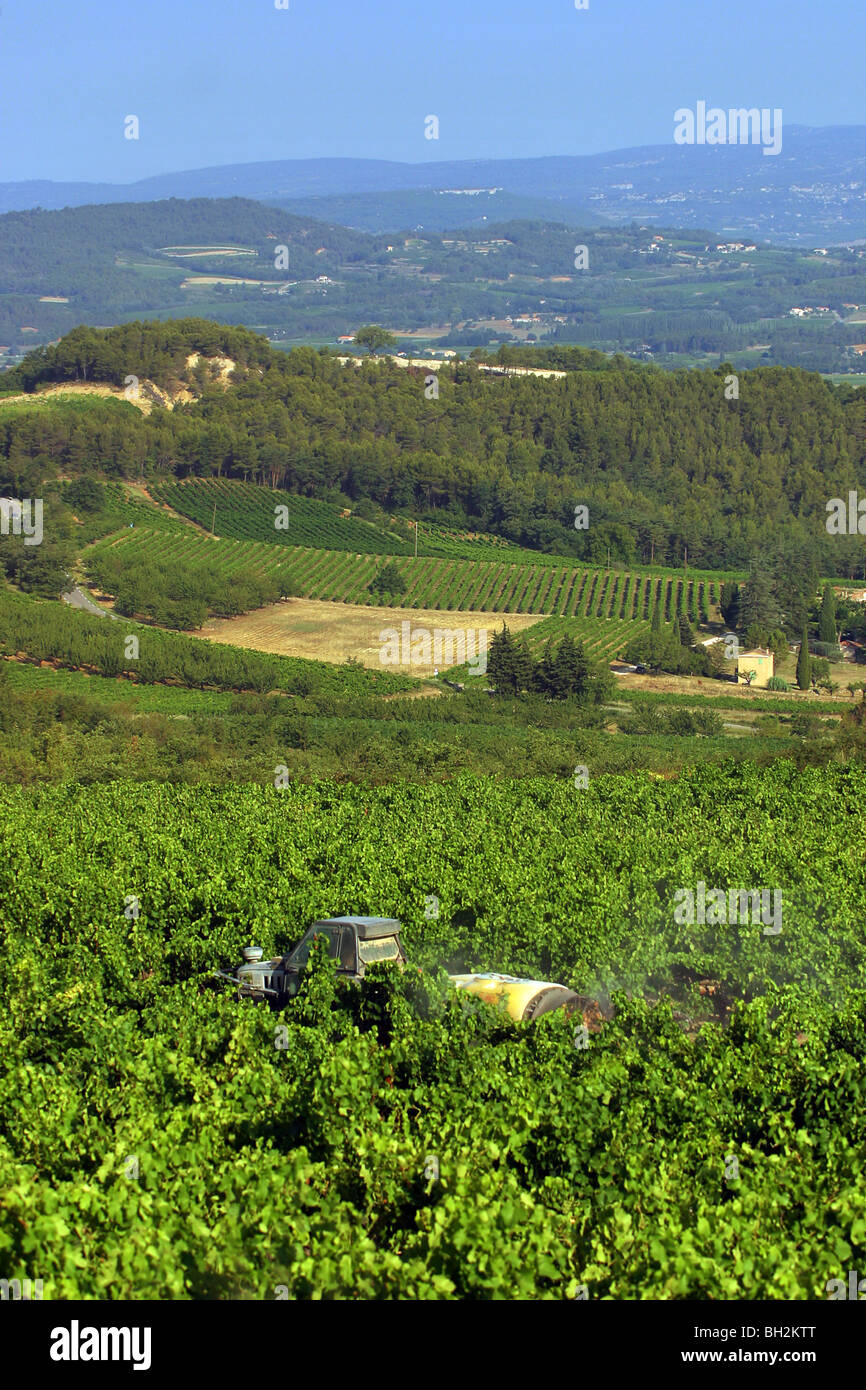 PHYTOSANITARY TREATMENT OF A VINEYARD IN THE LUBERON Stock Photo