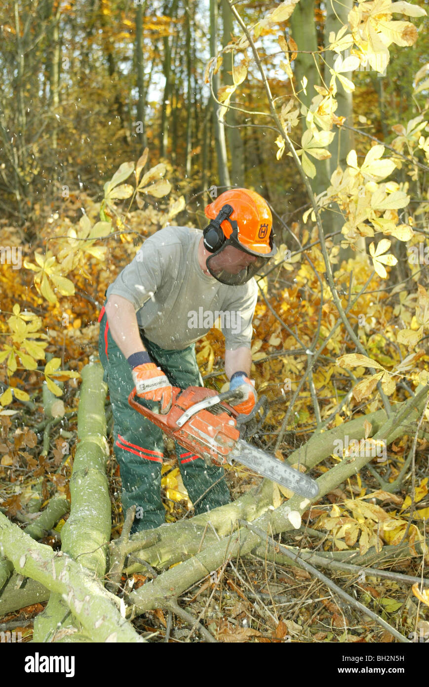 Forestry worker using a chainsaw Stock Photo
