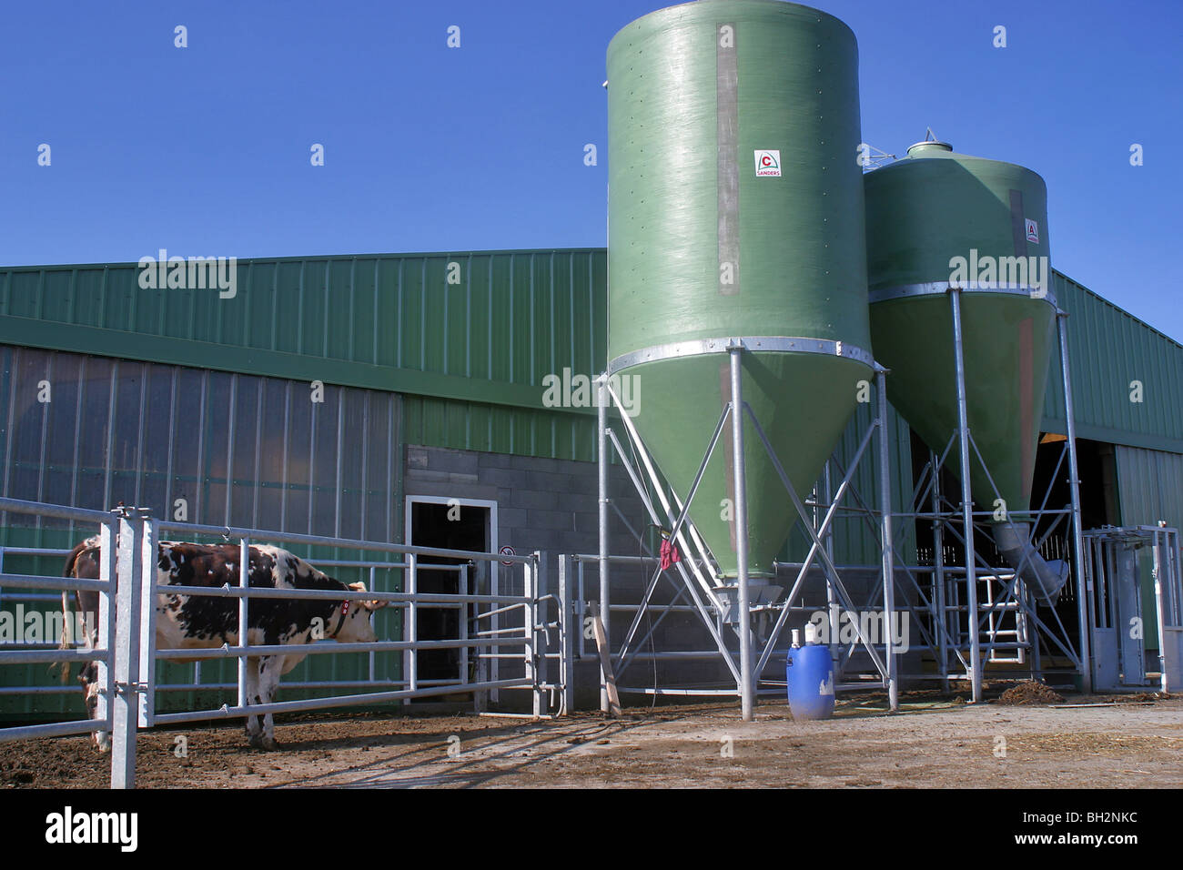 DAIRY FARM WITH FEEDER, ORNE (61 Stock Photo - Alamy