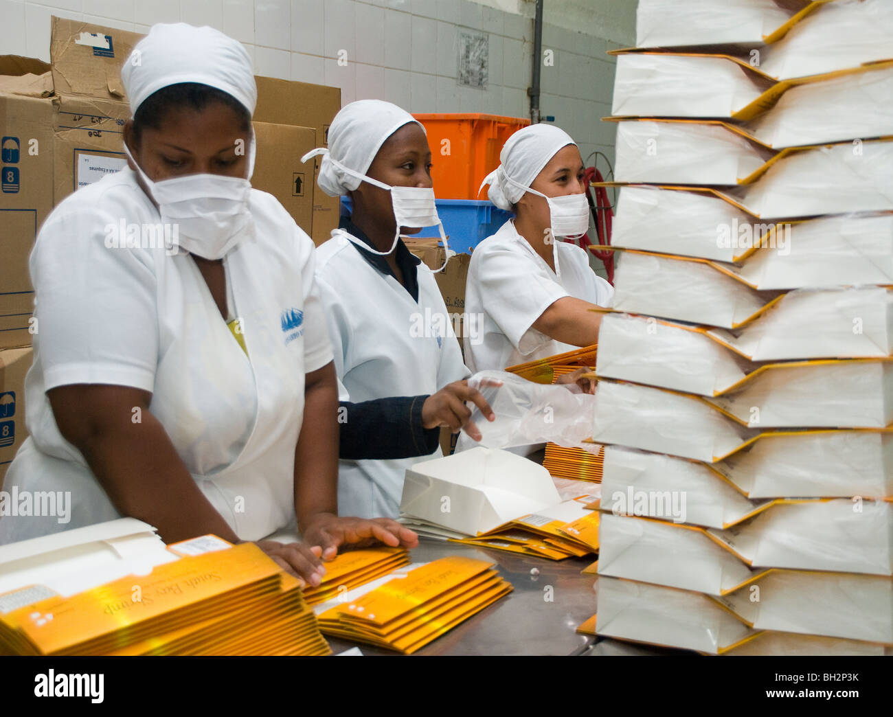 Ecuador. Guayaquil city. Factory shrimp and fish processing. Packaging