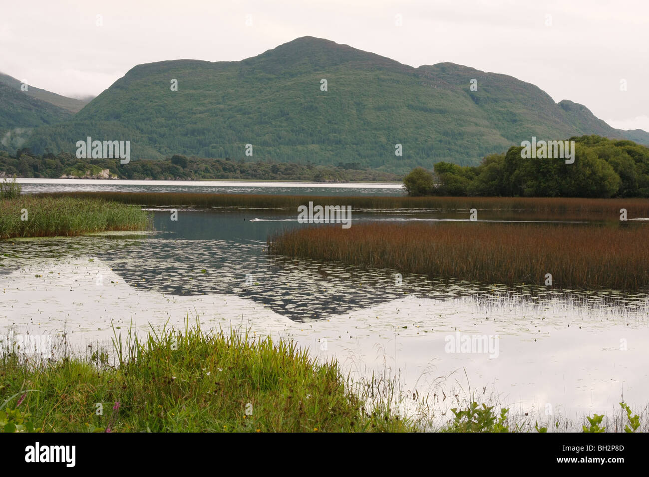 Lough Leane, Killarney Eire. Stock Photo