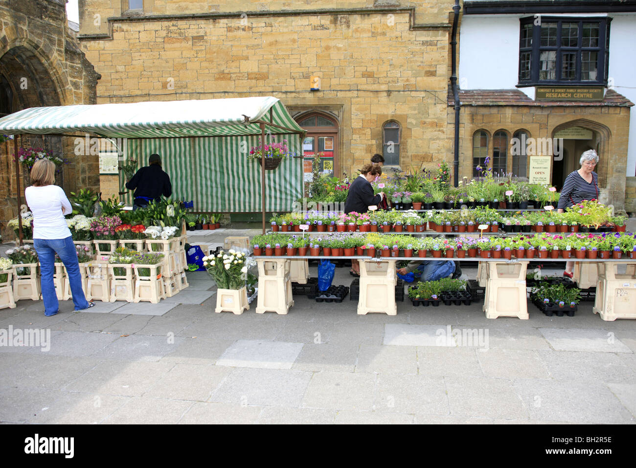 Flower Market stall selling potted flowers shrubs and plants Stock