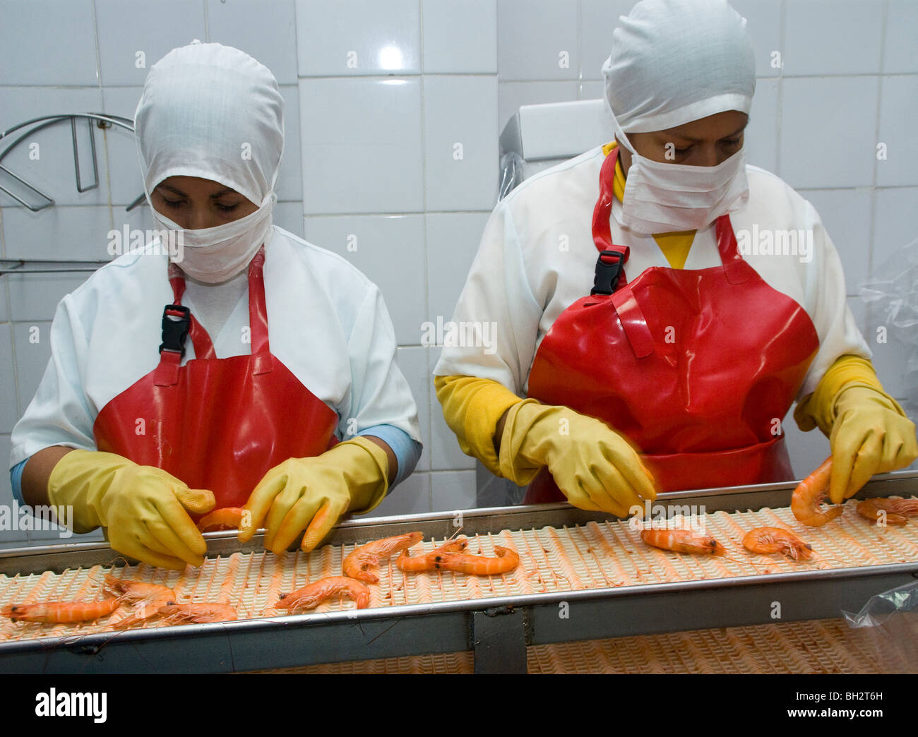 Guayaquil ecuador shrimp hires stock photography and images Alamy