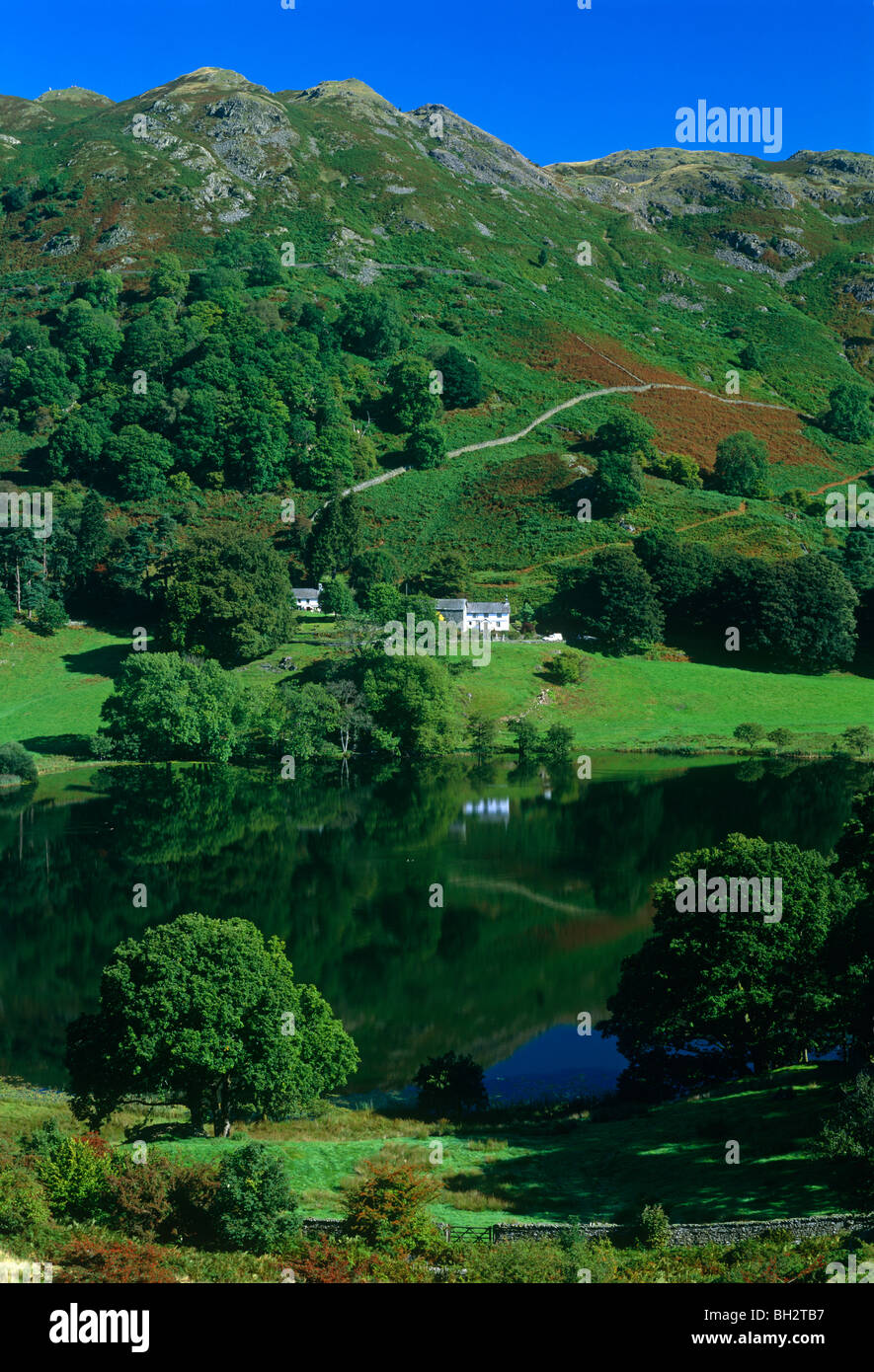 A view of Loughrigg Tarn and Loughrigg Fell near Ambleside in the Lake District National Park, Cumbria, England Stock Photo